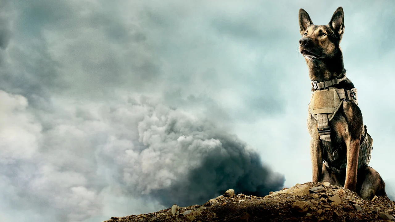 Фильм Макс (2015)