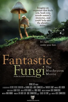 Фильм Фантастические грибы (2019)